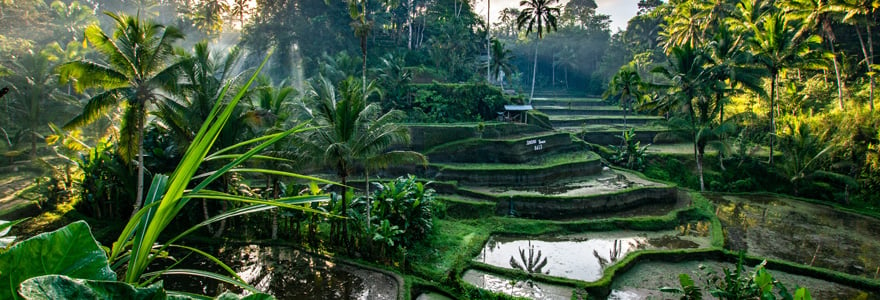 Bali